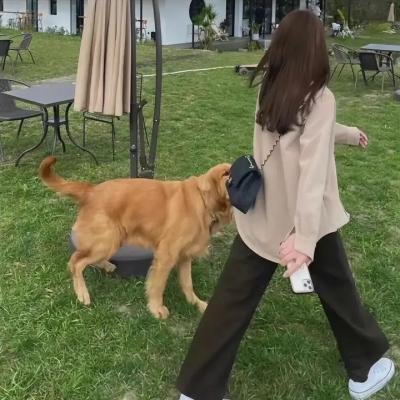 朗·霍伯的灾难